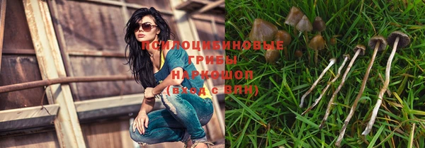 молекула духа Алексеевка